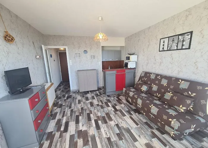 Studio En Bord De Mer Avec Parking Et Animaux Admis - Fr-1-224C-197