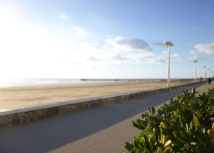 Studio 2-3 Pers Bord De Mer Avec Parking Prive - Fr-1-224C-491
